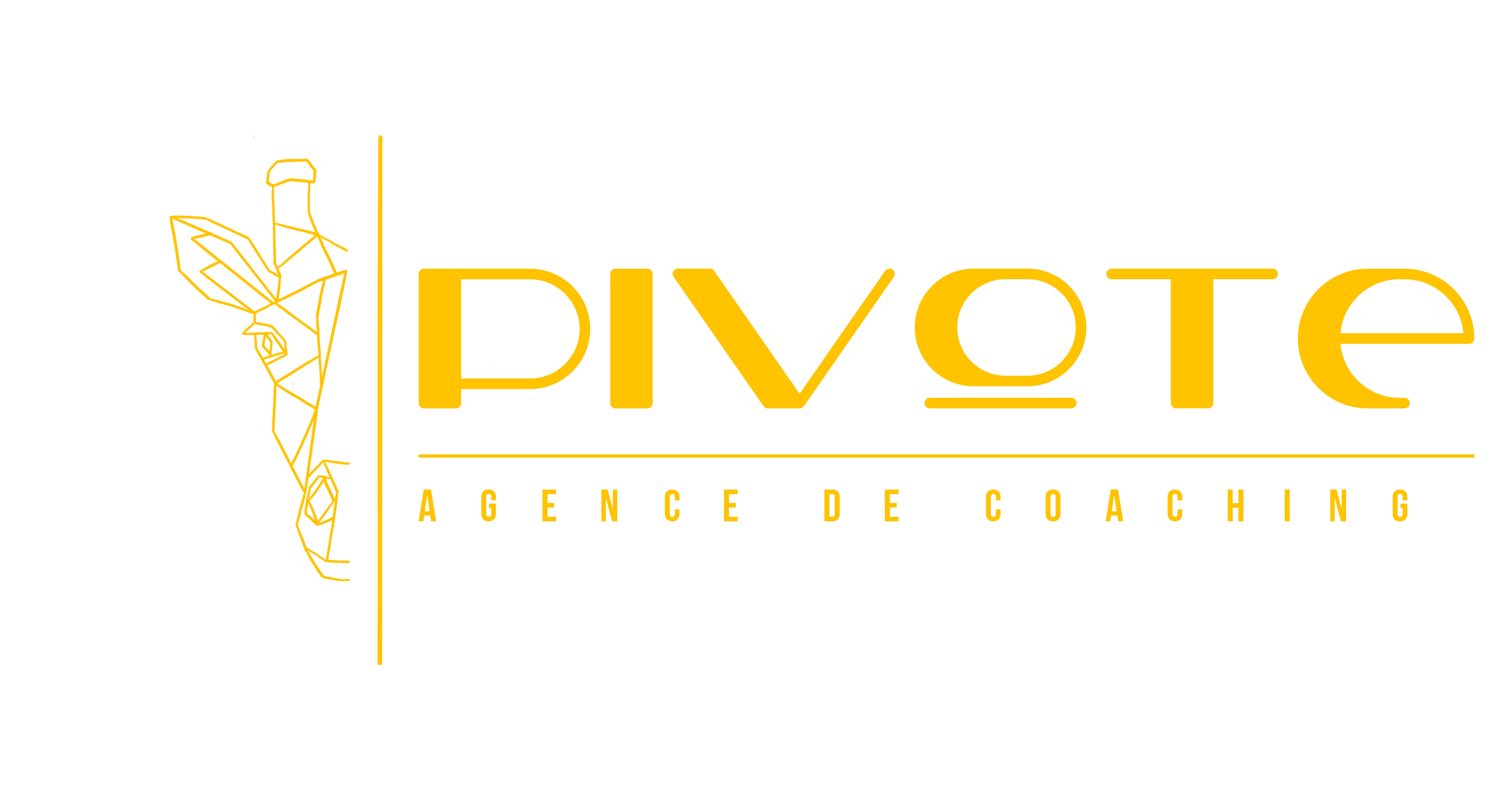 Katia Toledano - Agence Pivote - Coaching professionnel,  Formation, Paris